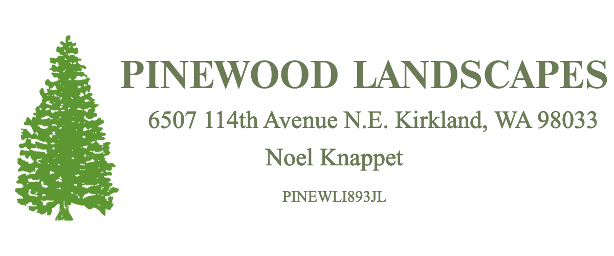 Pinewood Landscapes